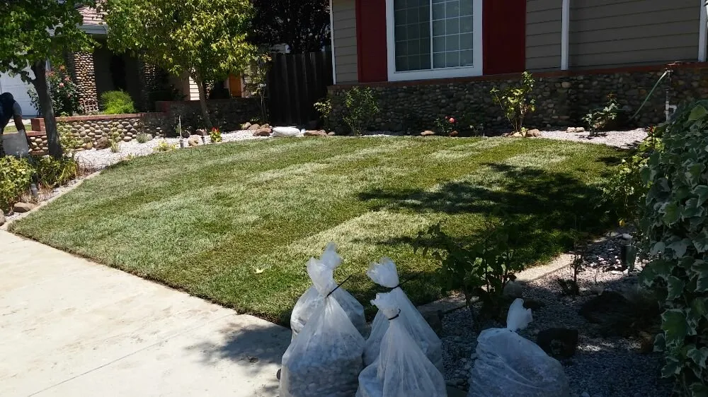 Local outdoor landscaping for year-round maintenance in Tracy, CA by Bayviews Landscape