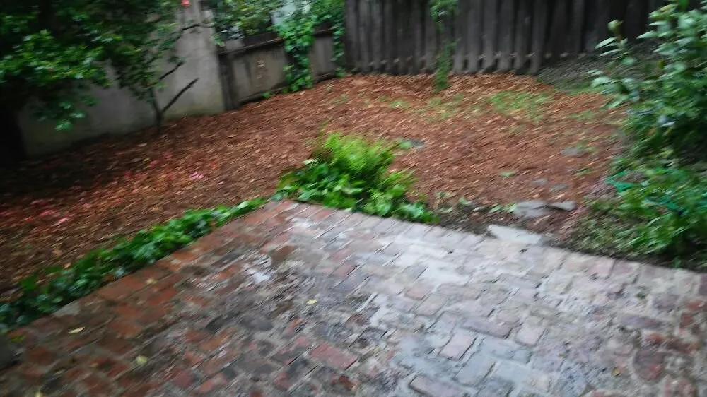 Local landscaping services in Tracy, CA by Bayviews Landscape