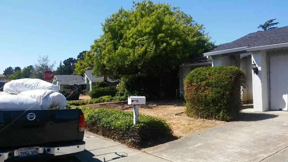 Expert outdoor landscaping in Tracy, CA - Bayviews Landscape