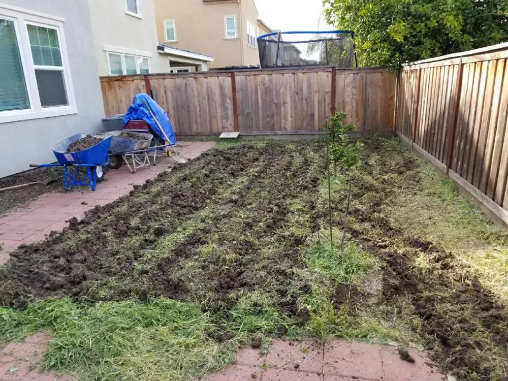 Trusted yard cleanup service near you across Tracy, CA - Bayviews Landscape