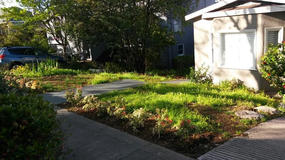 Affordable garden landscaping in Tracy, CA - Bayviews Landscape