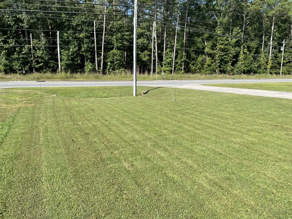 Affordable yard cleanup service in Rome, GA by Baywood Lawn Care