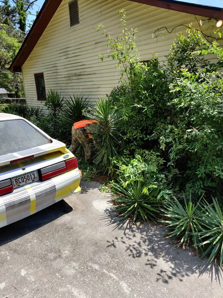 Expert lawn mowing service in Macon, GA - B&B All In One Services