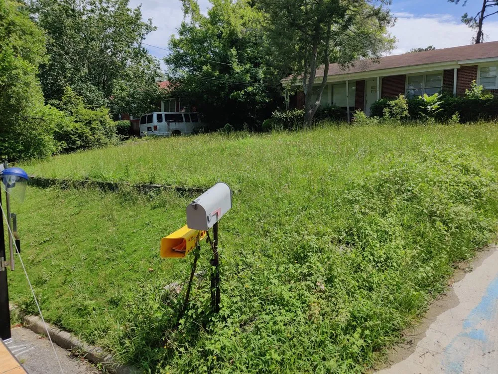 Affordable residential landscaping experts serving Macon, GA - B&B All In One Services