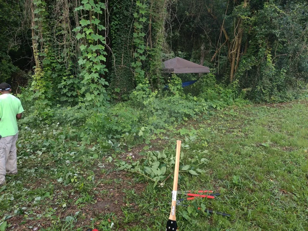 Reliable outdoor landscaping for year-round maintenance in Macon, GA by B&B All In One Services