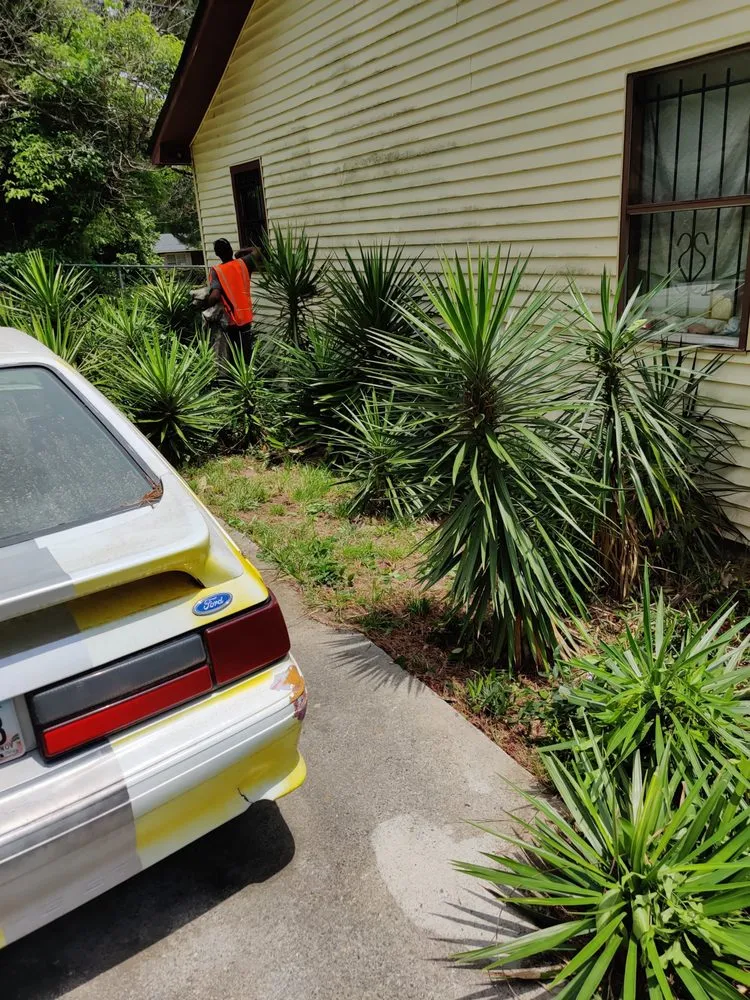 Expert landscaping services near you in Macon, GA by B&B All In One Services