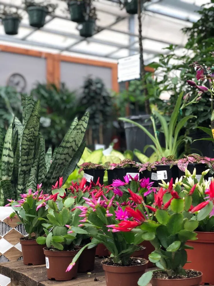 Affordable outdoor landscaping in Arden, NC - B.B. Barns The Garden Company