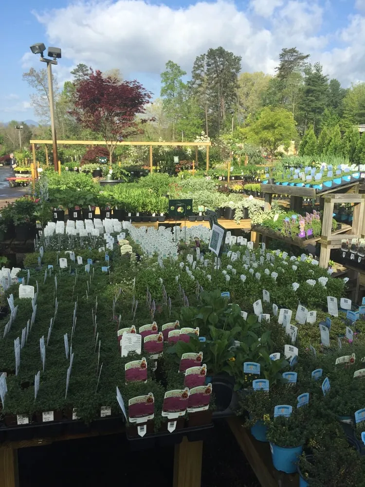 Expert garden landscaping in Arden, NC by B.B. Barns The Garden Company