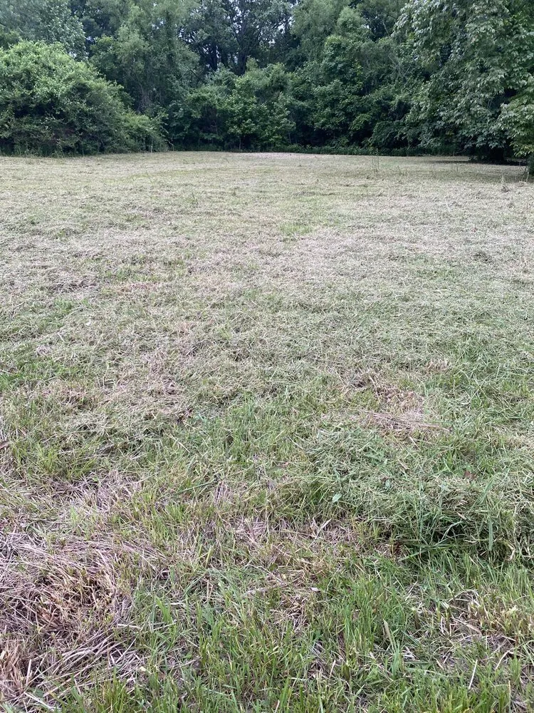 Reliable yard maintenance in Hillsboro, TN by B&B Complete Care