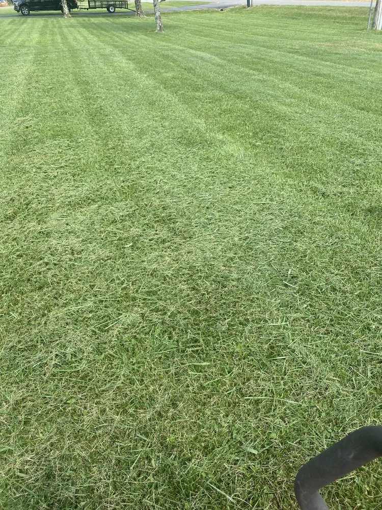 Affordable lawn care service for beautiful yards across Hillsboro, TN - B&B Complete Care