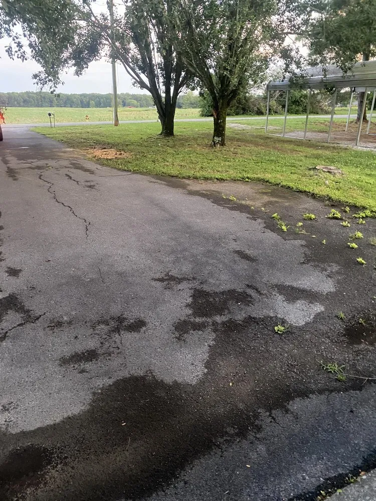 Expert yard cleanup service for outdoor upgrades across Hillsboro, TN - B&B Complete Care