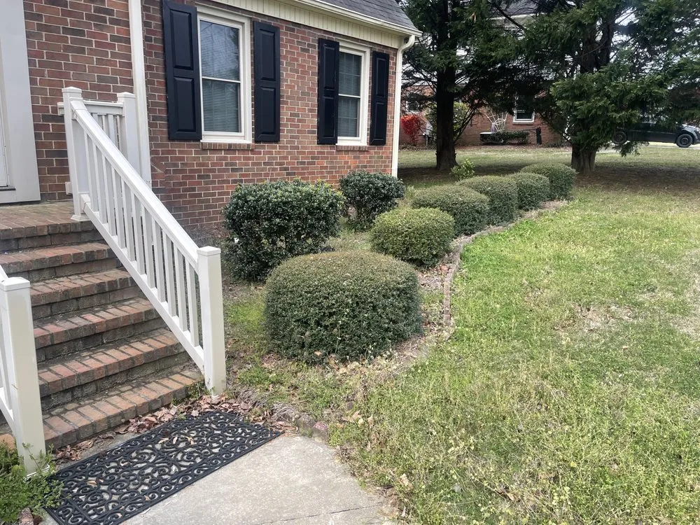 Trusted yard cleanup service experts serving Florence, SC - B&B Groundworks