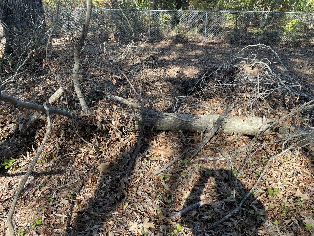 Expert landscape design in Florence, SC by B&B Groundworks