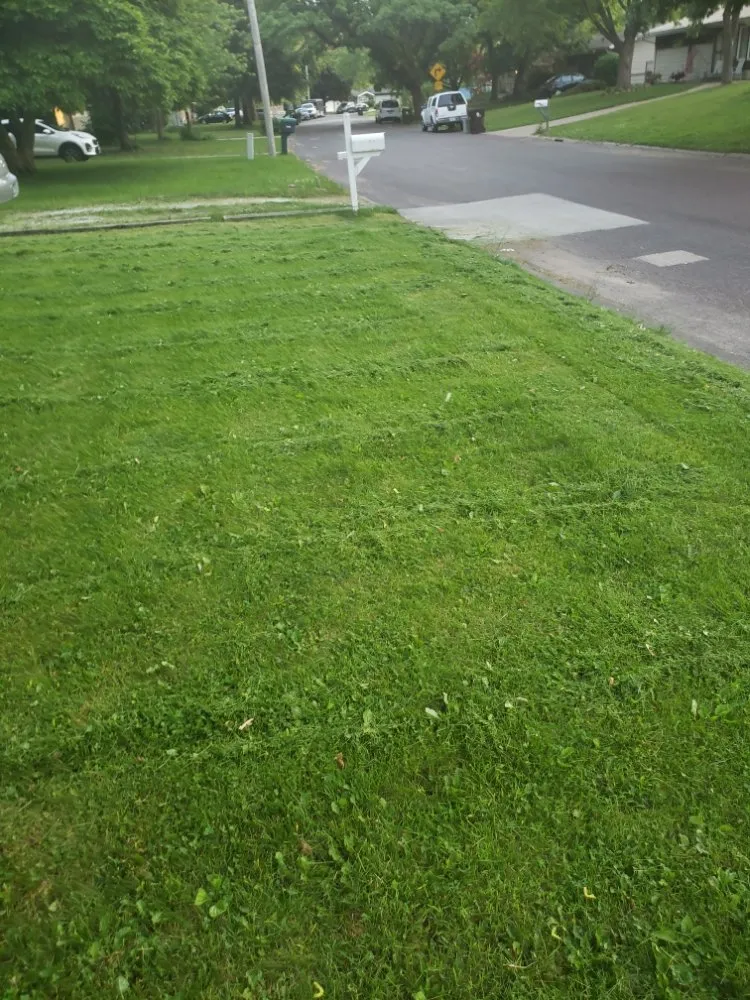 Professional landscaping services experts serving Morris, IL - B&B Handyman Repair Services