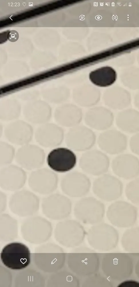 Trusted yard cleanup service in Morris, IL by B&B Handyman Repair Services