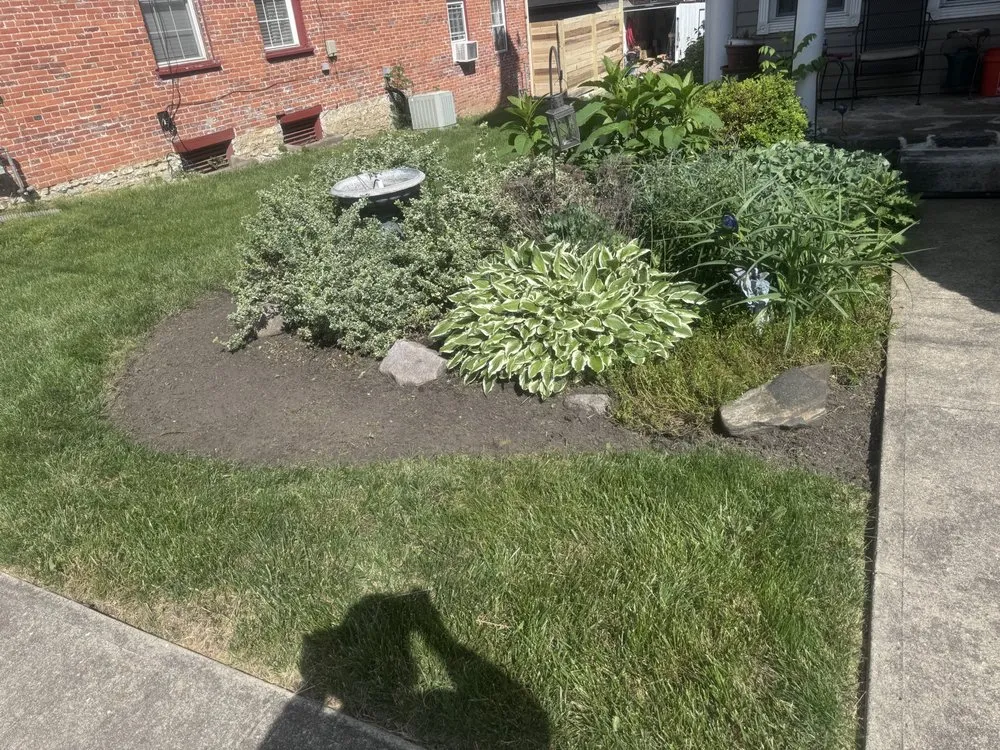 Expert yard cleanup service in Springfield, OH - B&B Home Improvement