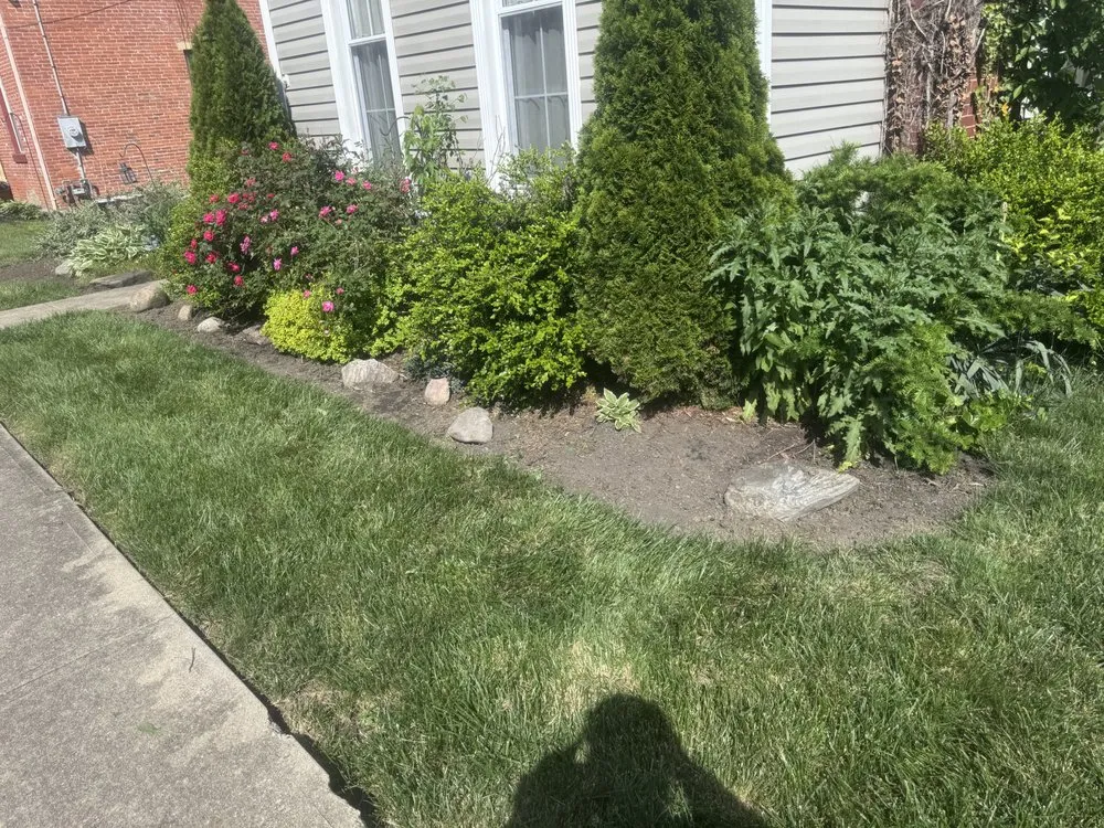 Top-rated lawn care service for year-round maintenance across Springfield, OH - B&B Home Improvement