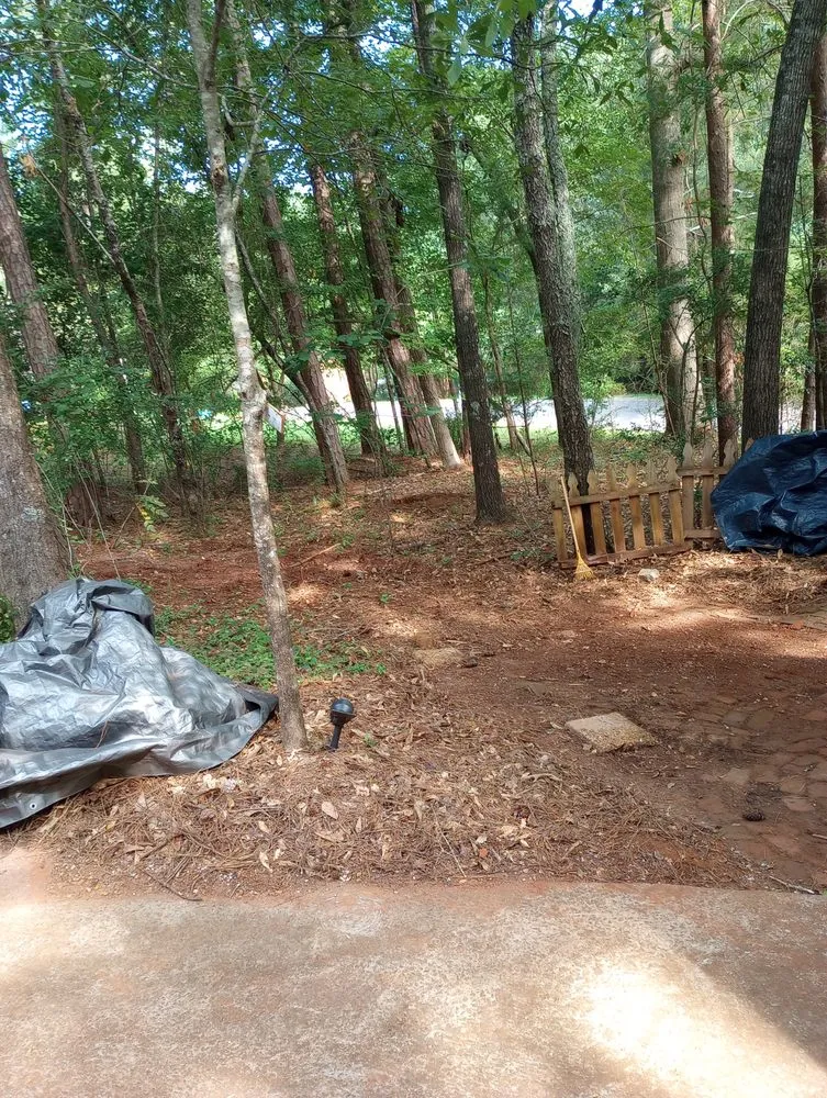 Custom yard cleanup service for year-round maintenance in Athens, GA by B&B Junk Removal Plus
