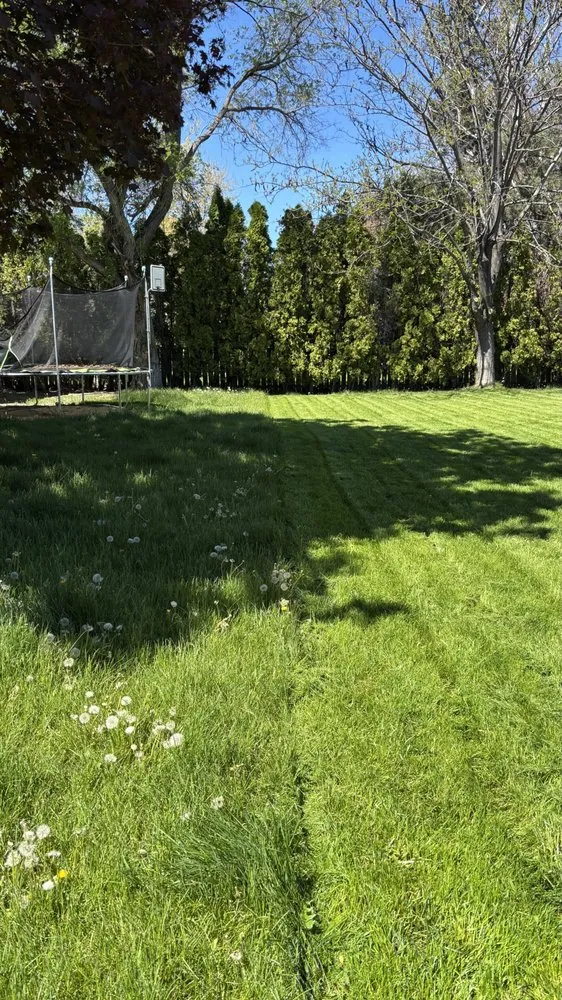 Top-rated lawn care service experts serving Redmond, OR - BB Land Service