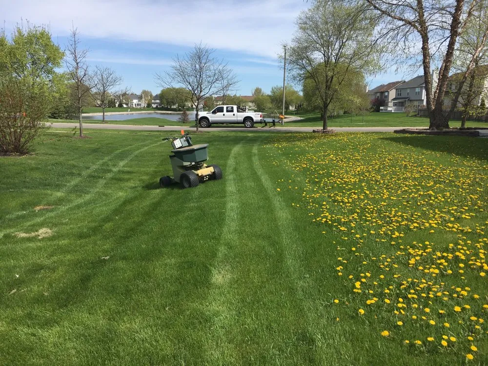 Custom landscape installation in Naperville, IL by B&B Landscape Service