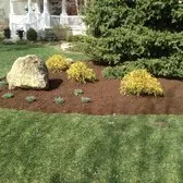 Expert yard cleanup service experts serving Naperville, IL - B&B Landscape Service