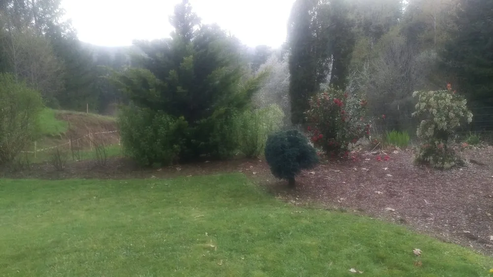 Reliable lawn care service for residential properties across Estacada, OR - B&B Landscaping