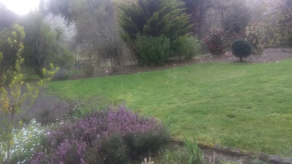 Trusted yard cleanup service in Estacada, OR - B&B Landscaping