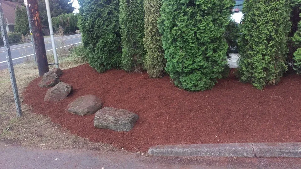 Reliable landscaping services experts serving Estacada, OR - B&B Landscaping
