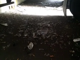 Affordable lawn mowing service for beautiful yards in Estacada, OR by B&B Landscaping