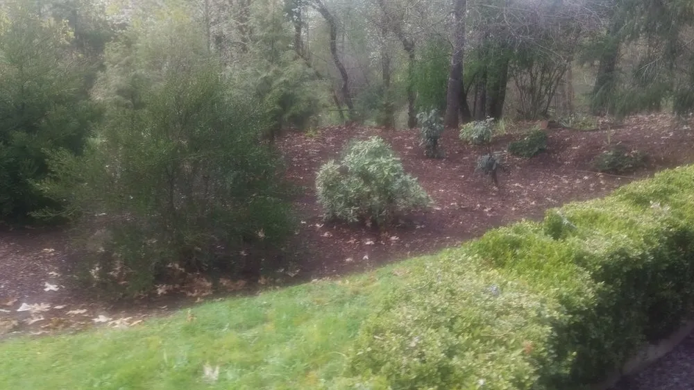 Reliable garden landscaping in Estacada, OR - B&B Landscaping