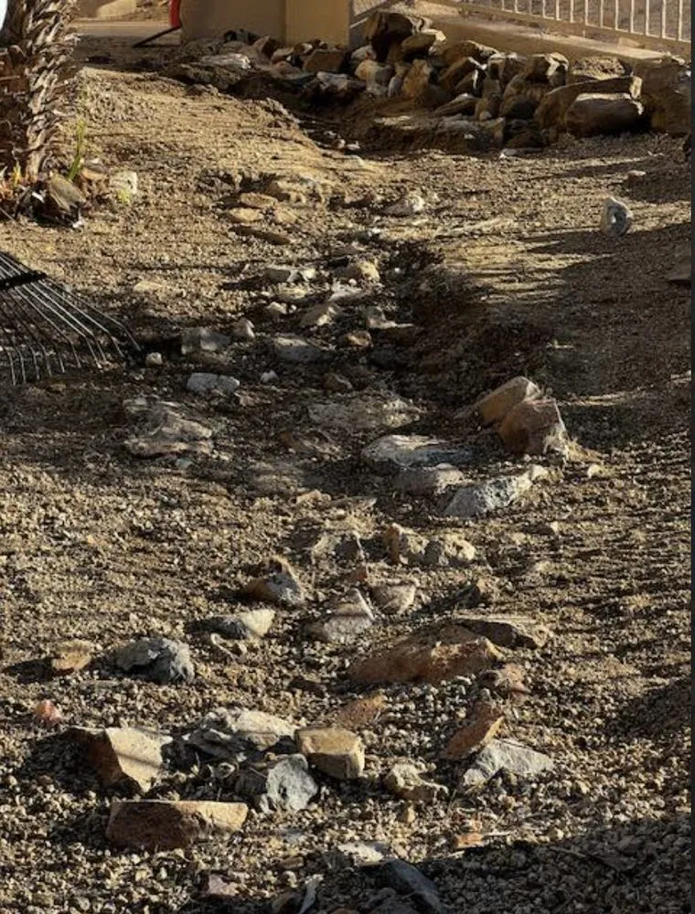 Reliable yard cleanup service in Fountain Hills, AZ by BB Landscaping