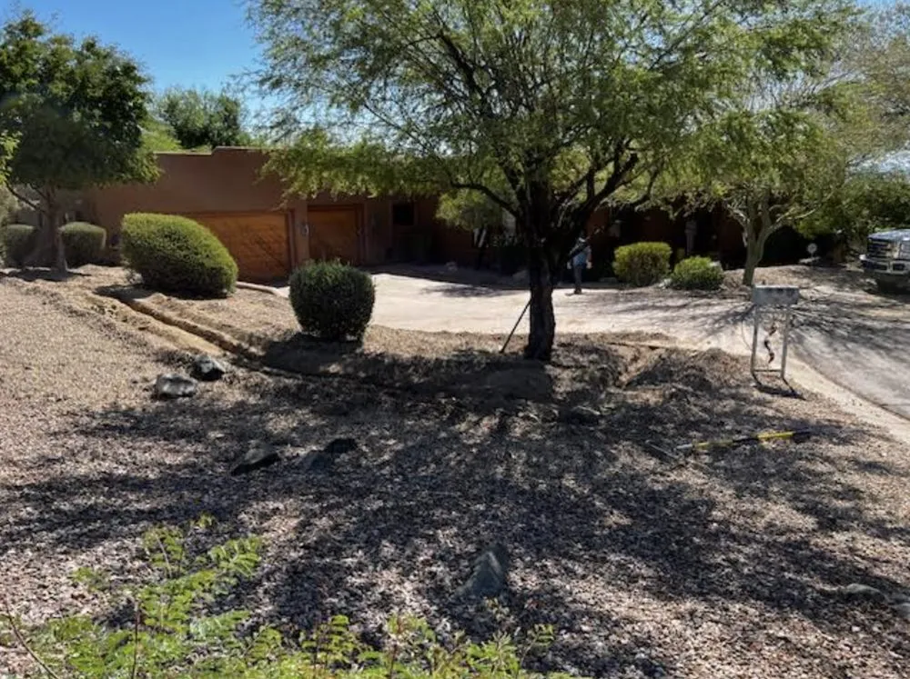 Trusted landscape installation for year-round maintenance across Fountain Hills, AZ - BB Landscaping