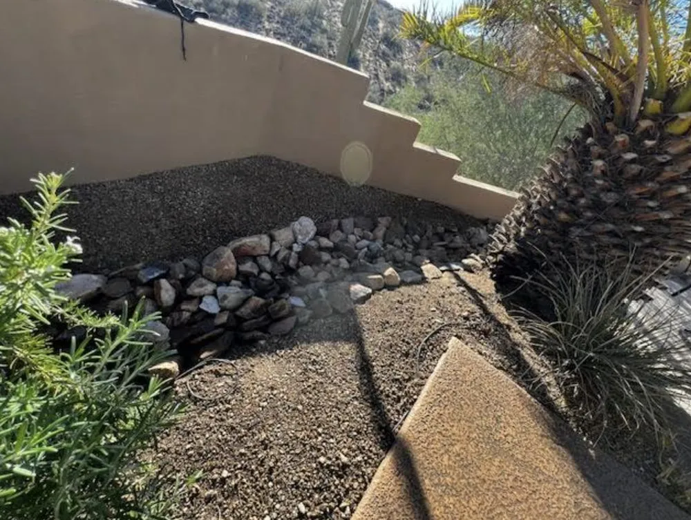 Expert lawn care service near you in Fountain Hills, AZ by BB Landscaping