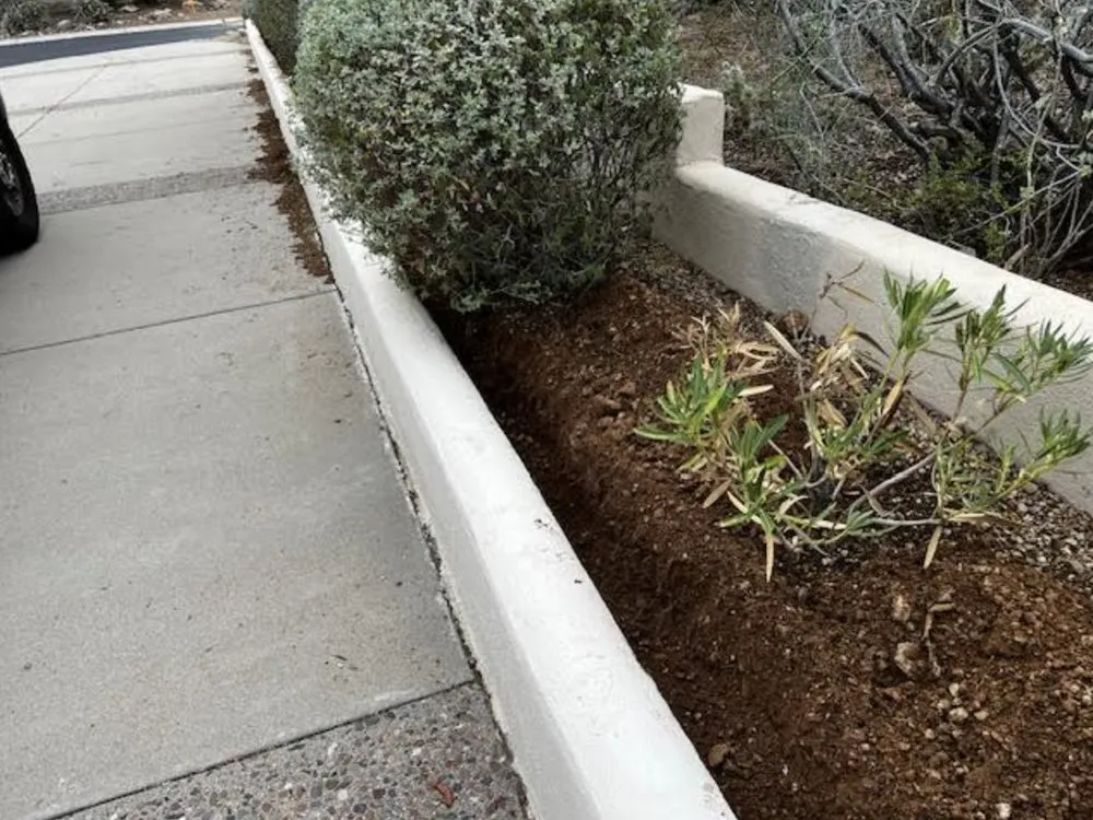 Expert outdoor landscaping for residential properties across Fountain Hills, AZ - BB Landscaping