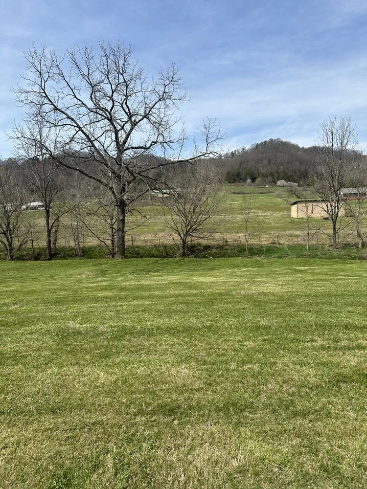 Expert yard maintenance for residential properties in Rogersville, TN by BB Landscaping