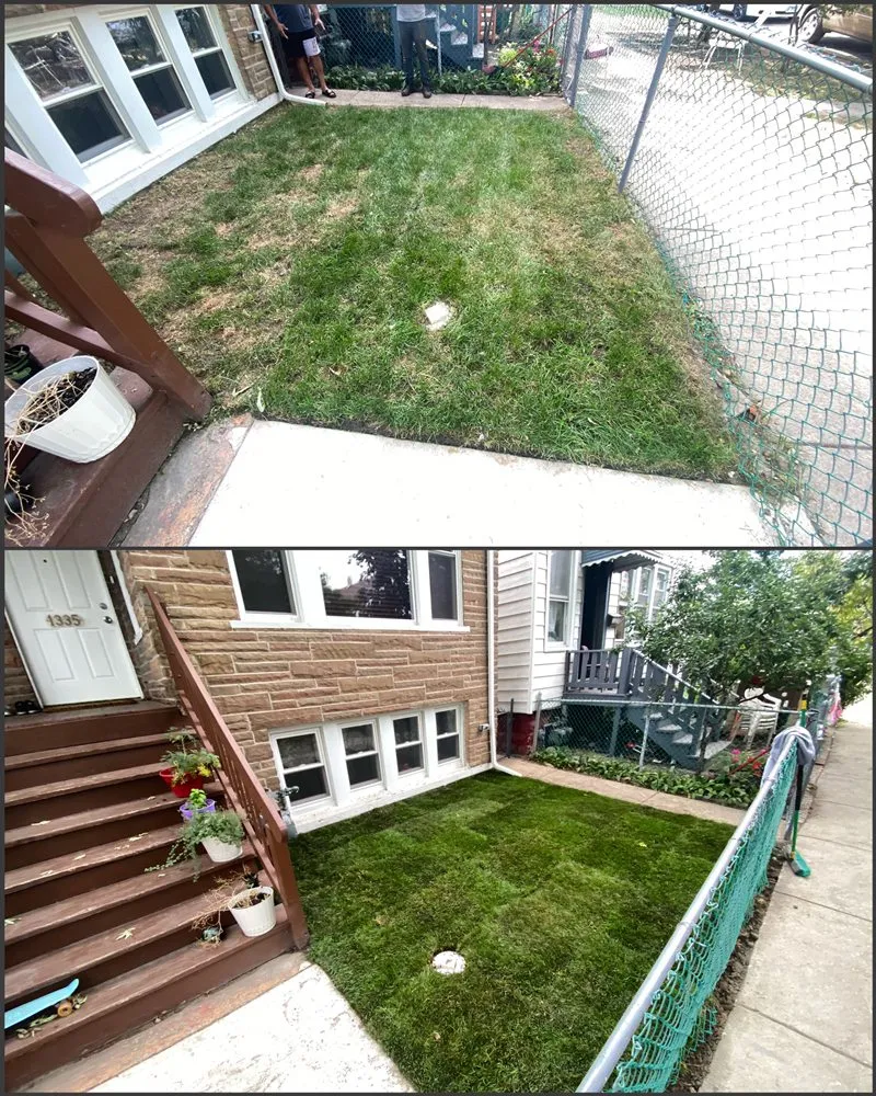 Reliable lawn care service in Oak Park, IL - B&B Landscaping Services