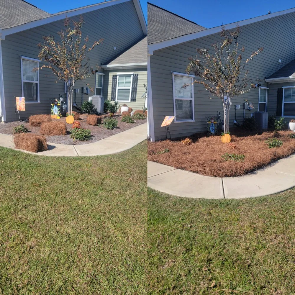 Local yard cleanup service for year-round maintenance across Surfside Beach, SC - B&B Landscaping