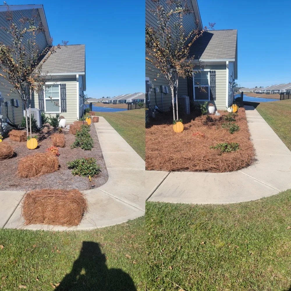 Top-rated lawn mowing service experts serving Surfside Beach, SC - B&B Landscaping