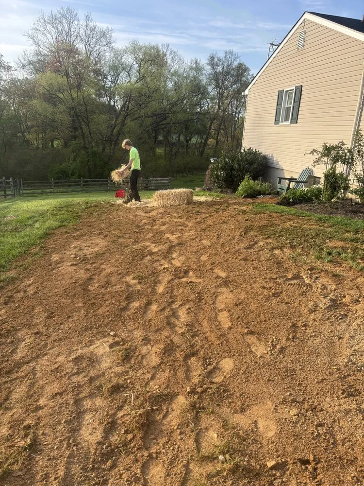 Local yard maintenance for beautiful yards across White Hall, MD - BB Landscaping