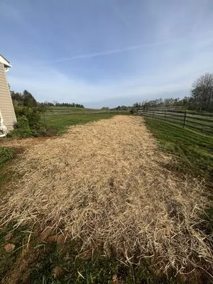 BB Landscaping