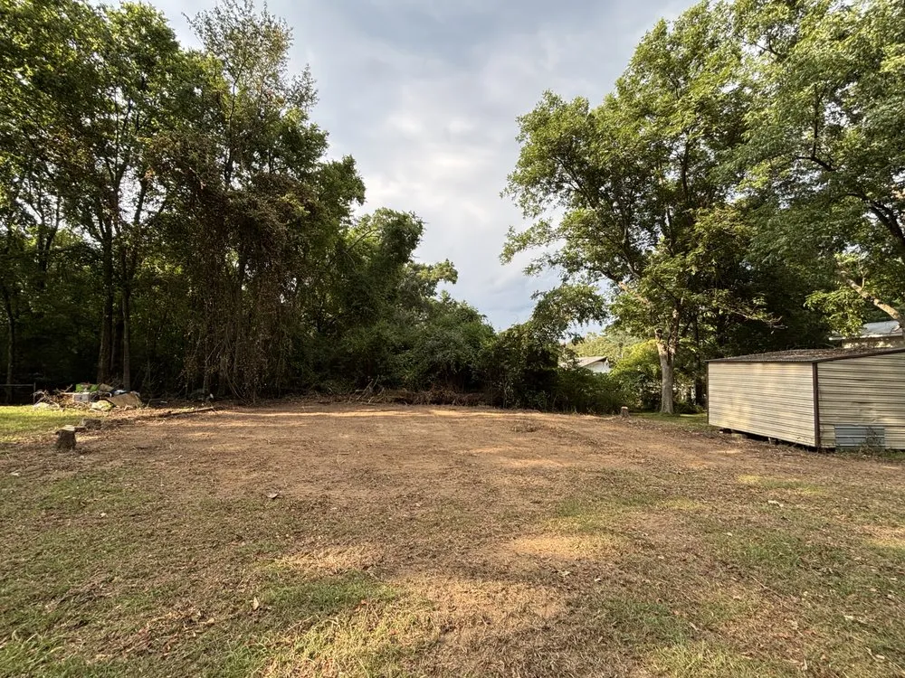 Professional yard cleanup service for beautiful yards across Bessemer, AL - BB Landworx