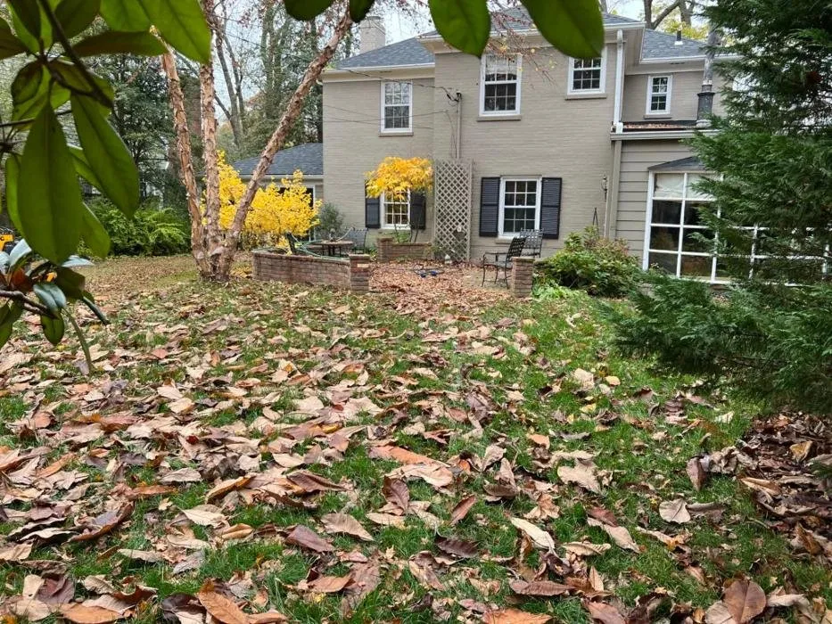 Professional residential landscaping for homes in Louisville, KY by BB Lawn & Landscape