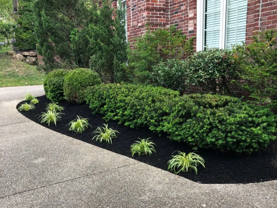 Professional lawn mowing service for outdoor upgrades across Louisville, KY - BB Lawn & Landscape