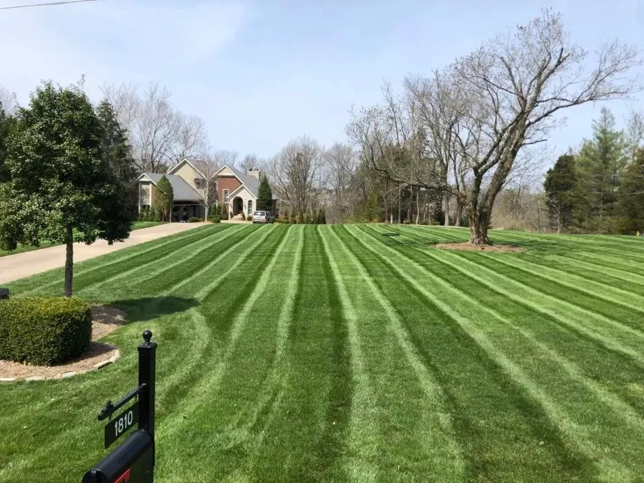 Reliable yard cleanup service near you across Louisville, KY - BB Lawn & Landscape