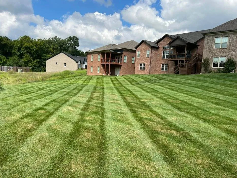 Professional landscape design in Louisville, KY by BB Lawn & Landscape