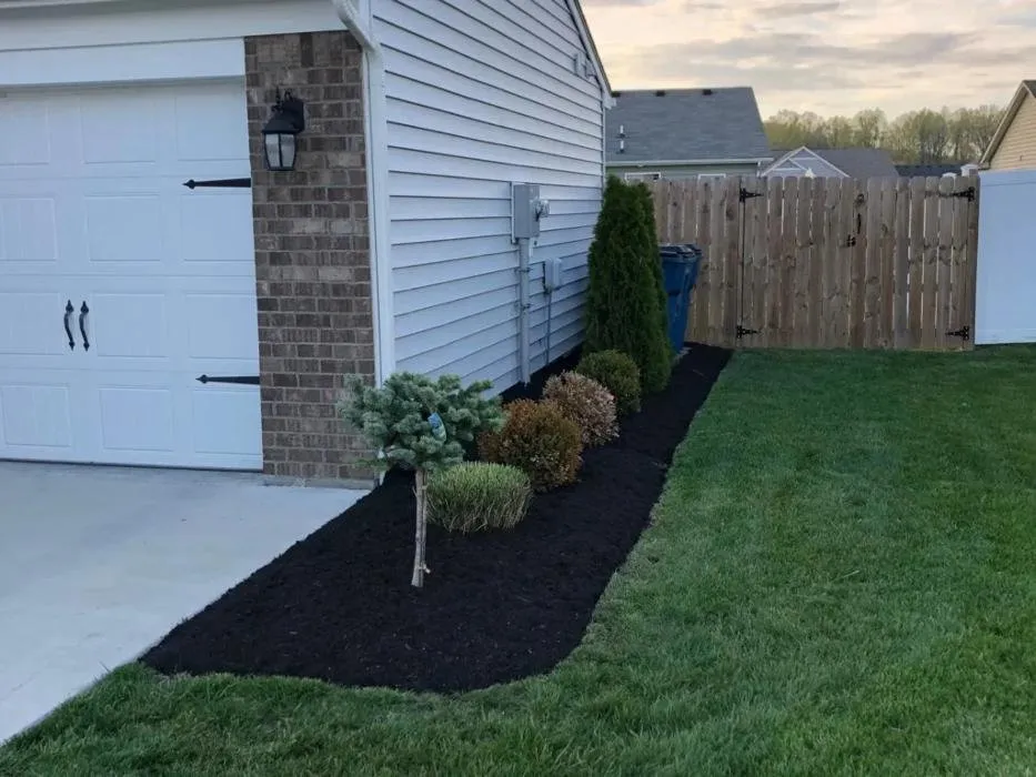 Professional lawn care service in Louisville, KY - BB Lawn & Landscape