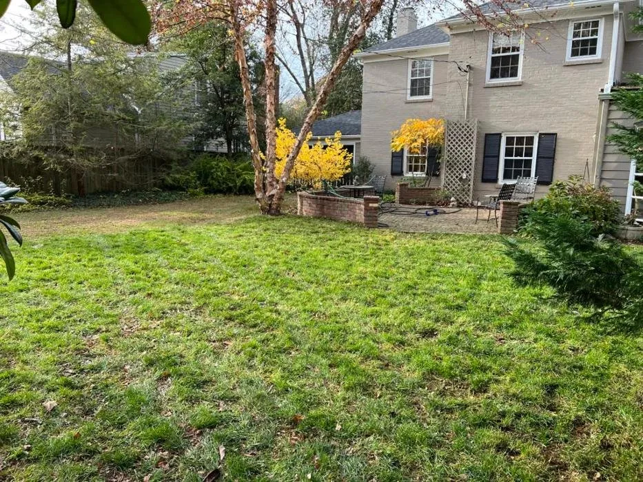 Trusted landscaping services in Louisville, KY by BB Lawn & Landscape