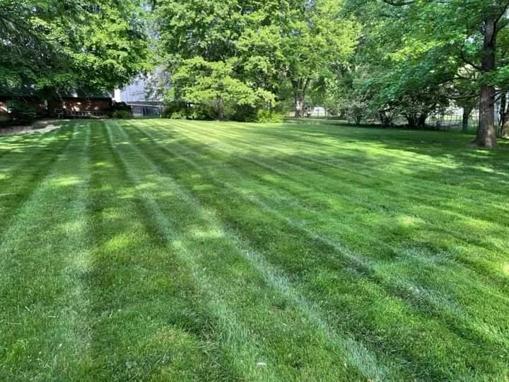 Reliable landscape design for outdoor upgrades across Cincinnati, OH - B&B Lawn & Landscaping