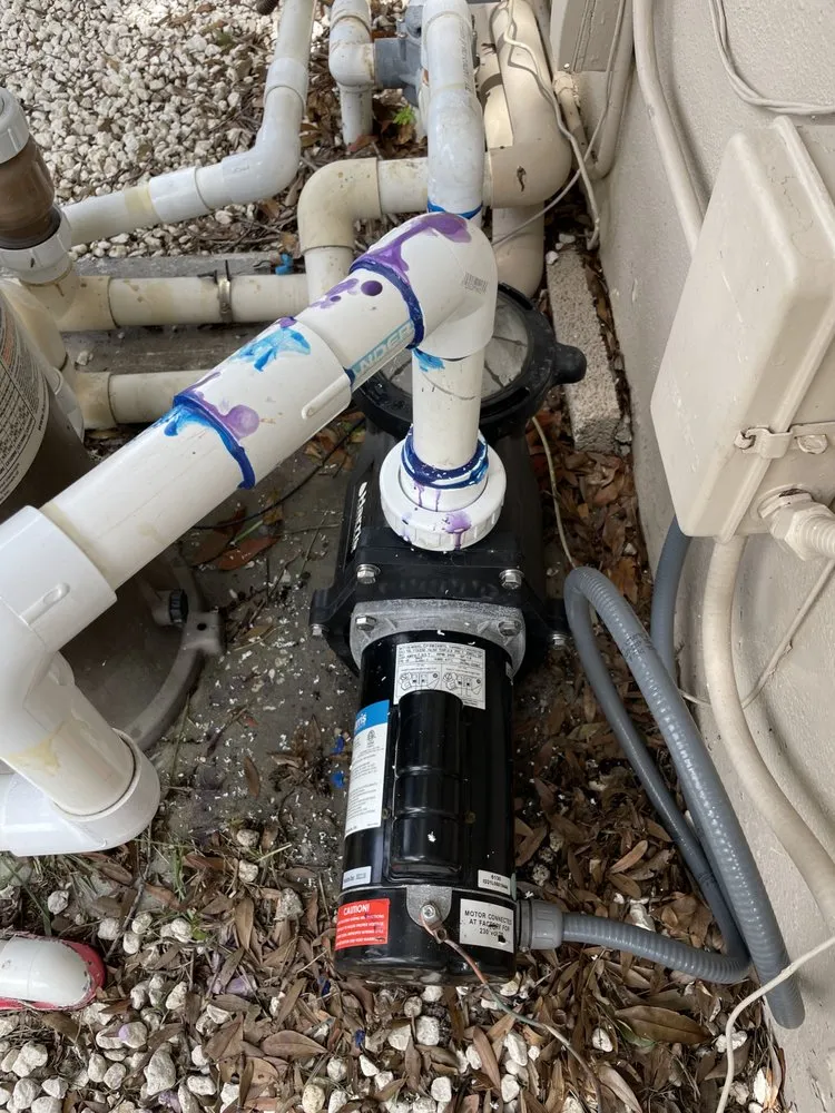 Expert yard cleanup service in Clearwater, FL by B&B Lawn & Pool