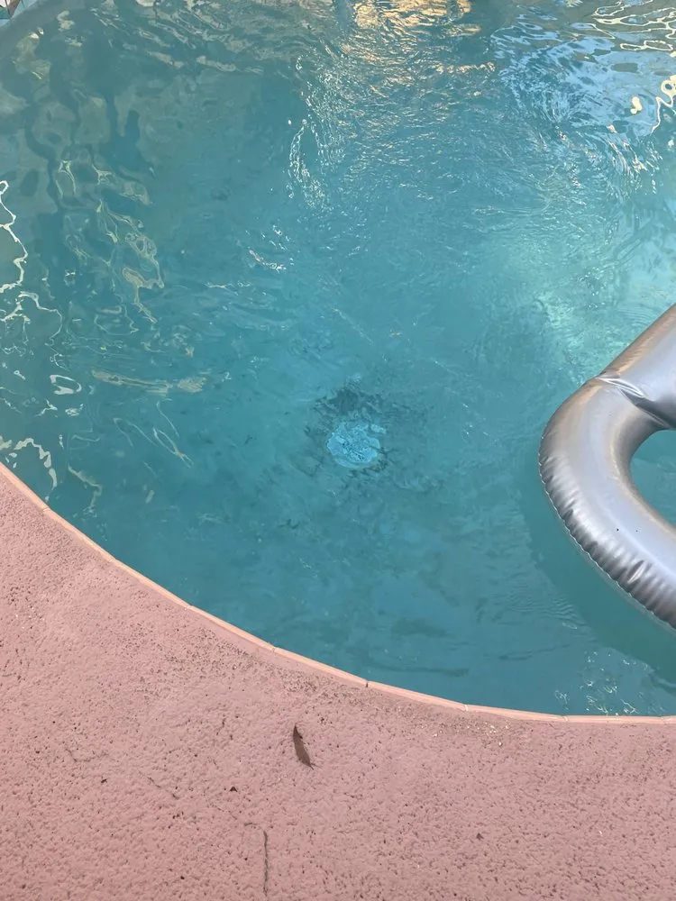 Local lawn care service in Clearwater, FL - B&B Lawn & Pool